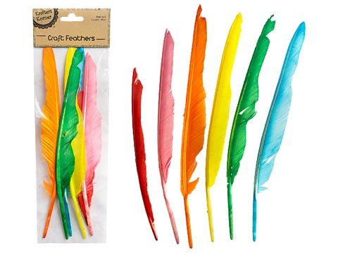 15-21cm Banded Feathers Asst. Cols Pk6